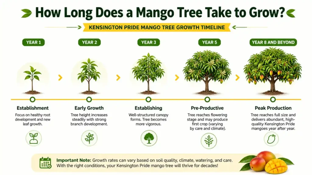 mango-tree-growth
