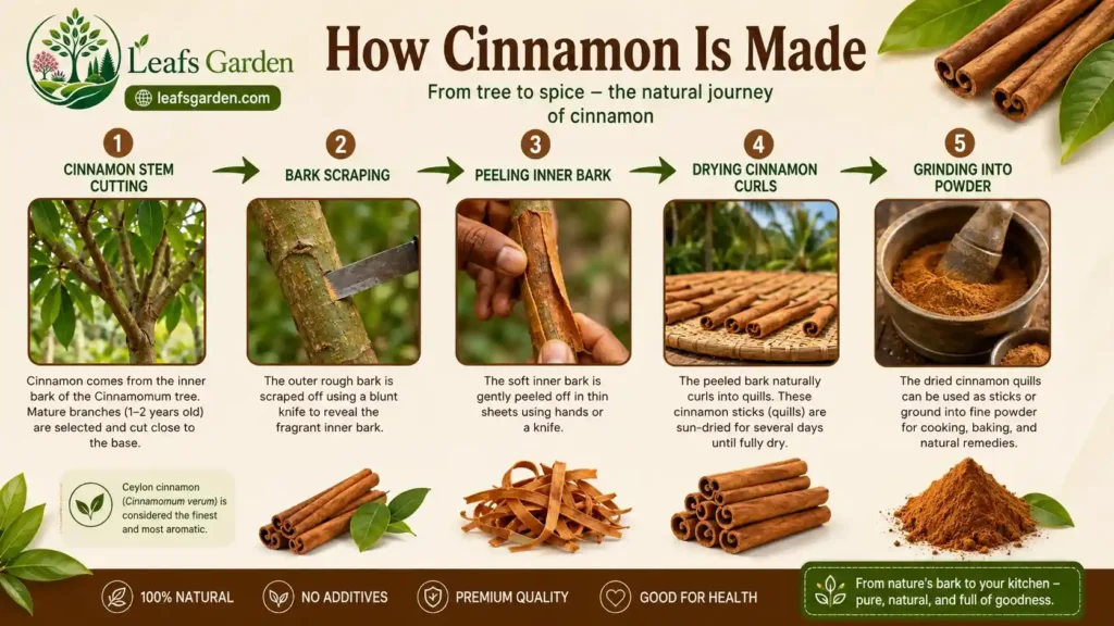 how-is-cinnamon-made