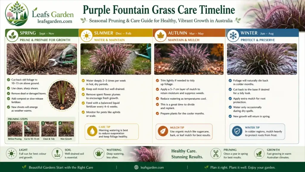 when-to-cut-back-purple-fountain-grass-in-australia