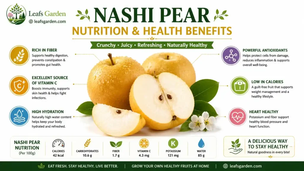 nashi-pear-benefits