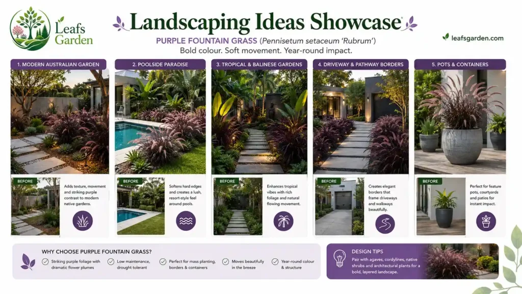 purple-fountain-grass-landscaping-ideas