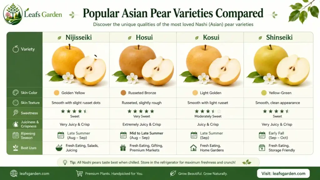 nashi-pear-varieties