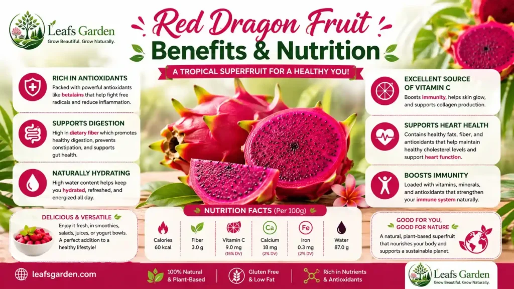  red-dragon-fruit-benefits