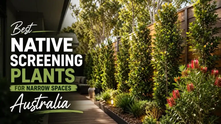 native-screening-plants-for-narrow-spaces