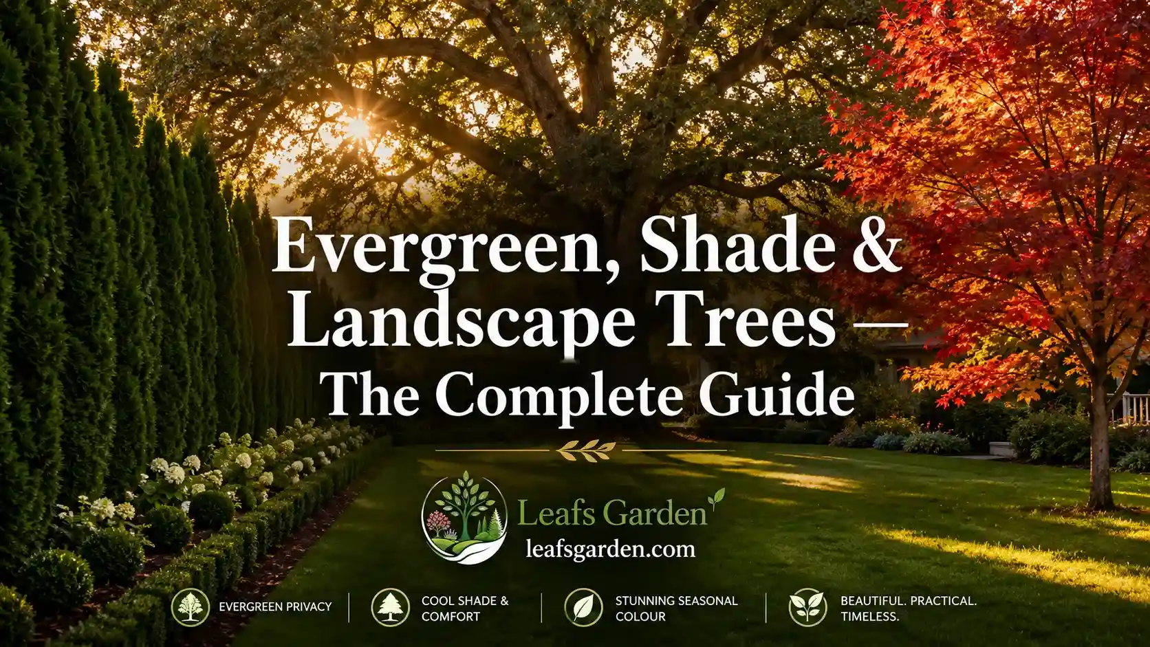 evergreen-shade-and-landscape-trees