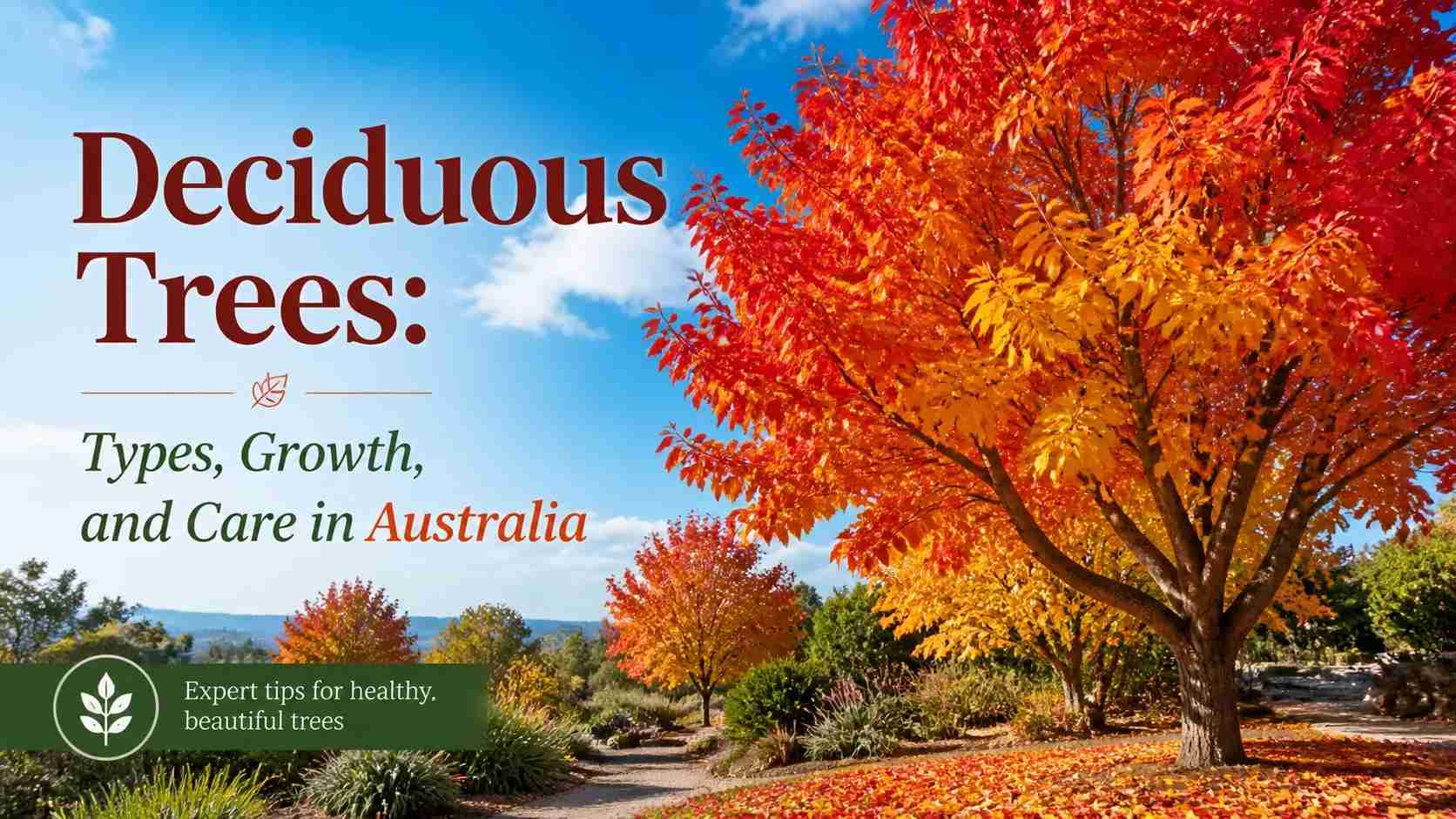 deciduous-tree