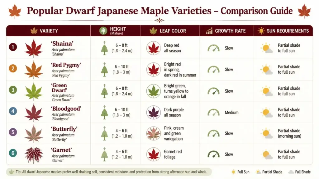 Japanese-maple-varieties