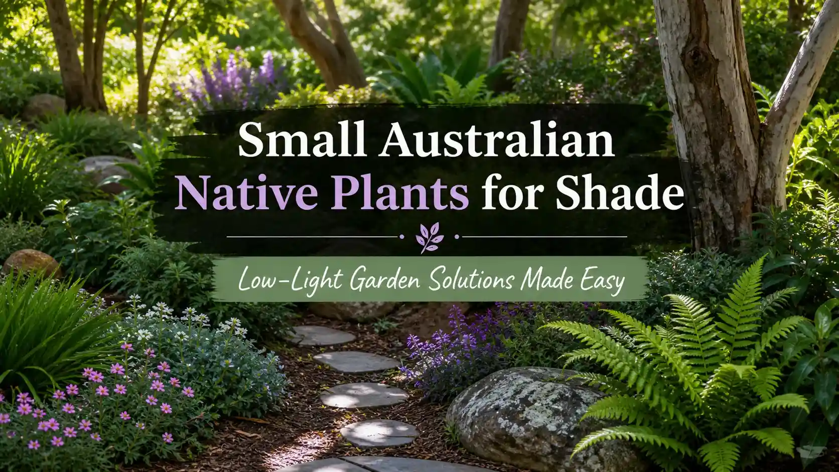 small-australian-native-plants-for-shade